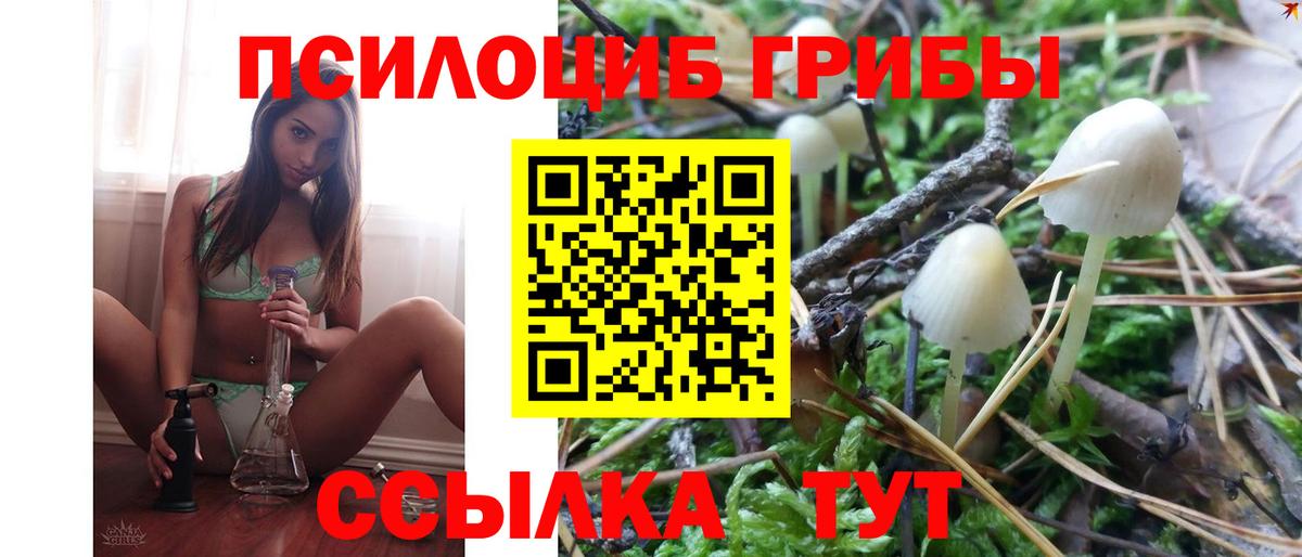 Галлюциногенные грибы GOLDEN TEACHER Обь